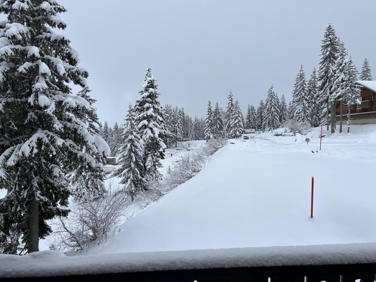 Résidence La Forêt Des Rennes - Les Saisies Villard-sur-Doron Exterior foto